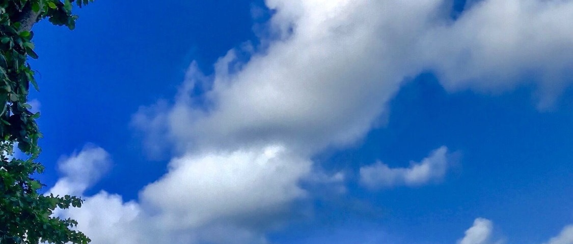 Nice place, good food... Quite difficult to reach, you need a good car...