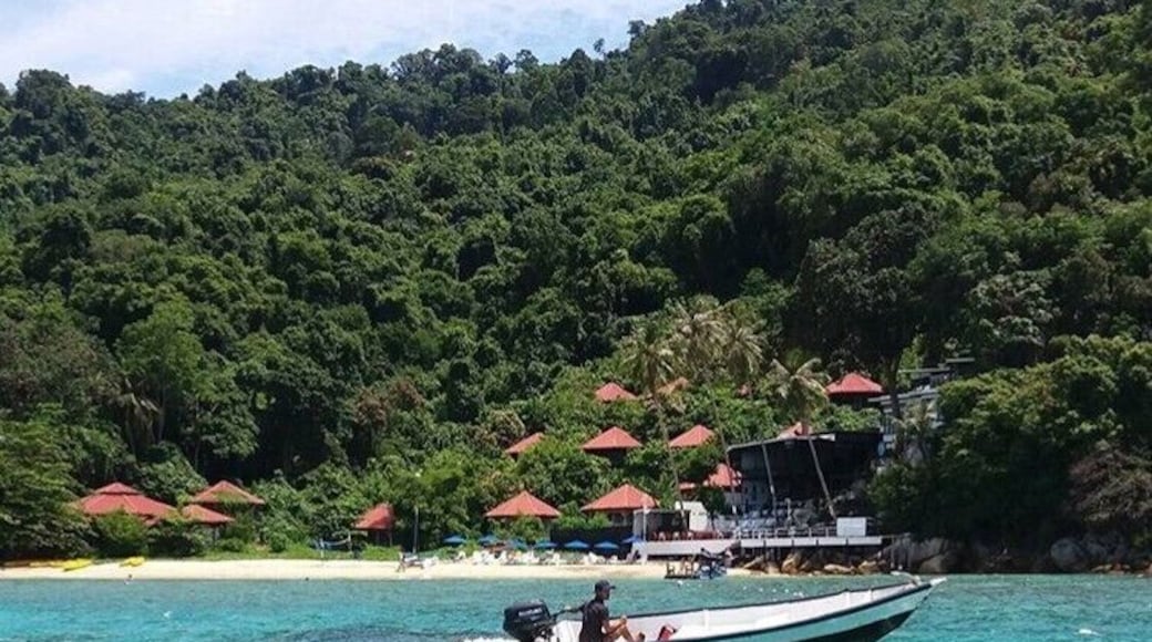 A must visit!
#BVSBlue
The Perhentian Island is situated in the state of Terengganu, Malaysia. Consisting of 2 islands, Perhentian is a must see for snorkelers and divers. The island will not disappoint as it has array of sea creatures and corals to see and if one is lucky, he/she will be able to swim with turtles.