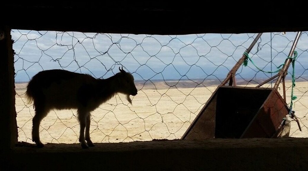 If you are in for some glamping in the Agafay Desert outside of Marrakech, Terre Des Etoiles is absolutely amazing!