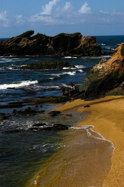 #EndlessSummer - taken at a place called " Forest point beach". Inaccessible by car and we had to make a small trek to get here. The views are stunning ❤️