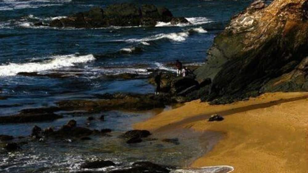 #EndlessSummer - taken at a place called " Forest point beach". Inaccessible by car and we had to make a small trek to get here. The views are stunning ❤️