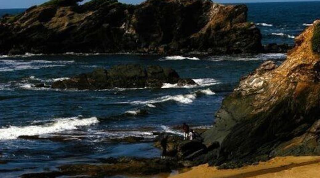 #EndlessSummer - taken at a place called " Forest point beach". Inaccessible by car and we had to make a small trek to get here. The views are stunning ❤️