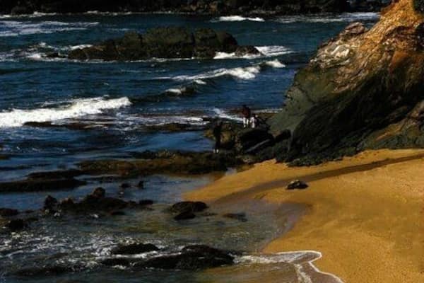 #EndlessSummer - taken at a place called " Forest point beach". Inaccessible by car and we had to make a small trek to get here. The views are stunning ❤️