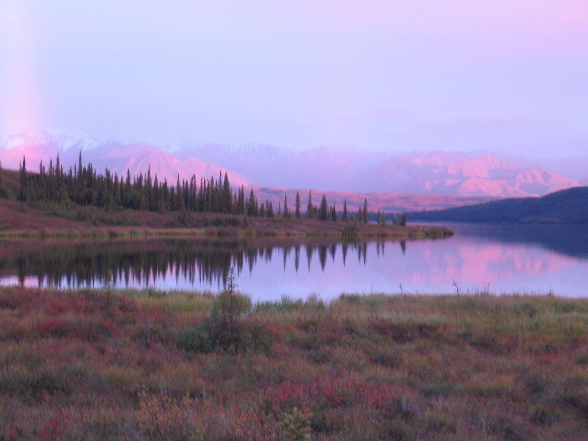 Evening walk from Kantishna Roadhouse.  