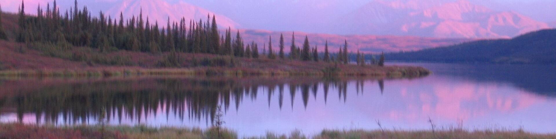 A calm lake surrounded by coniferous trees and distant mountains.