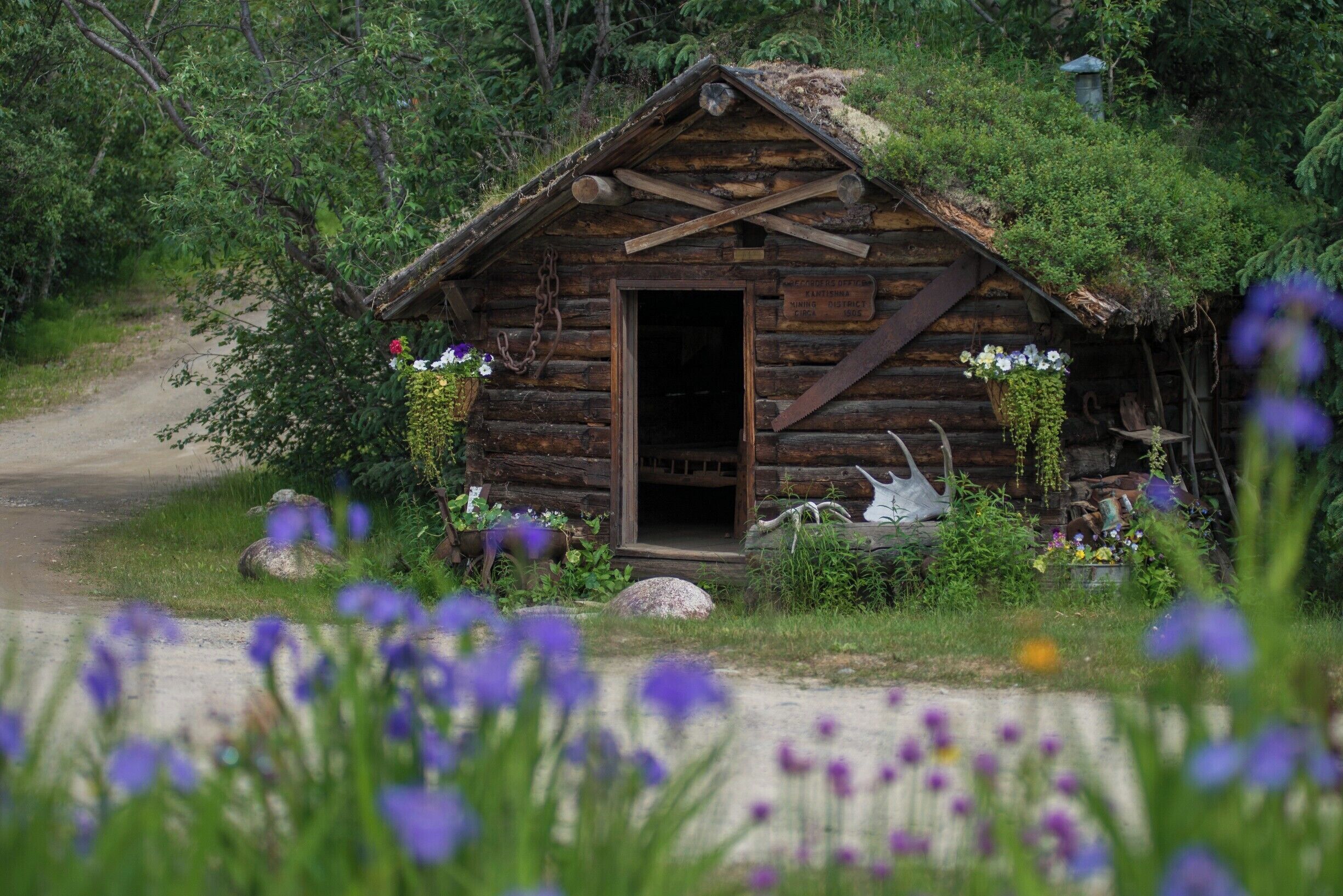 Lots of cool, old structures at the end of the road in Kantishna.