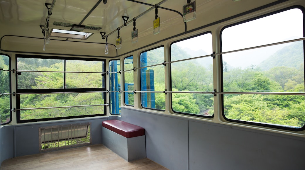 Teleférico de la montaña Naejangsan