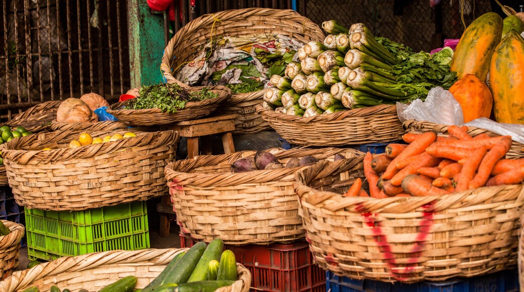 Mercado Municipal de LimĂłn