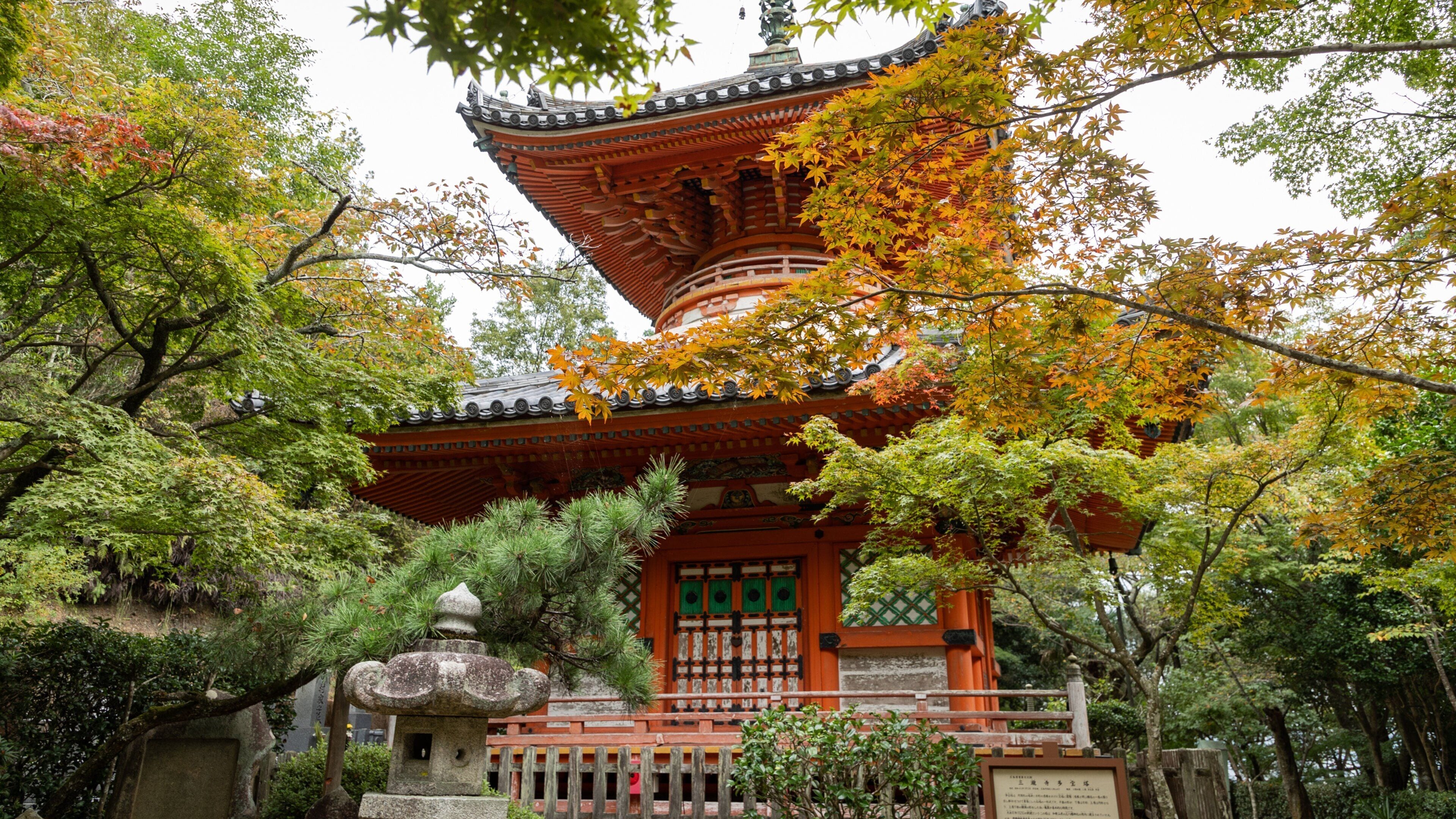 Eine traditionelle japanische Pagode, umgeben von Herbstlaub.