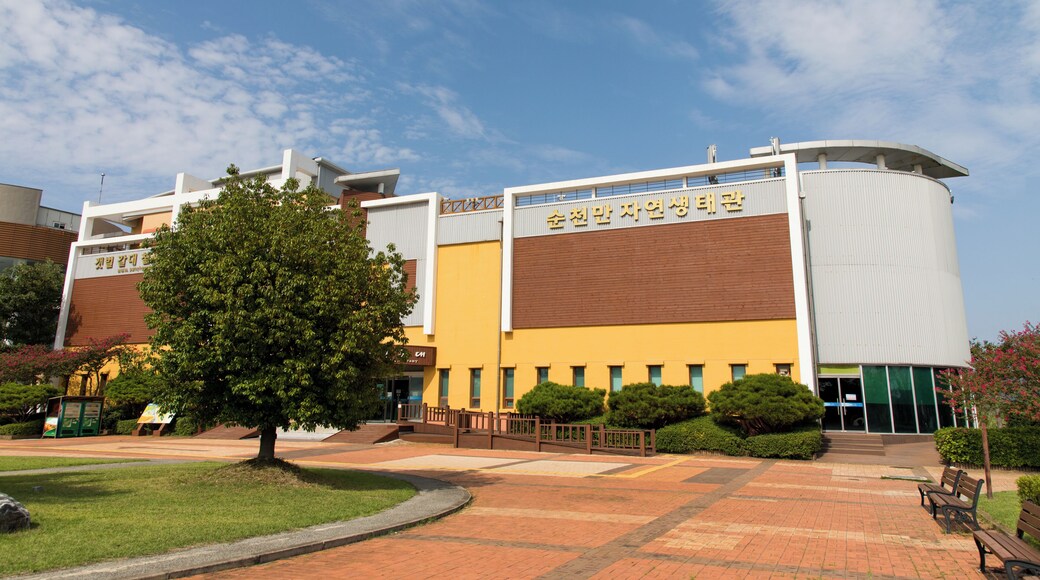 Museu EcolĂłgico da BaĂa de Suncheonman