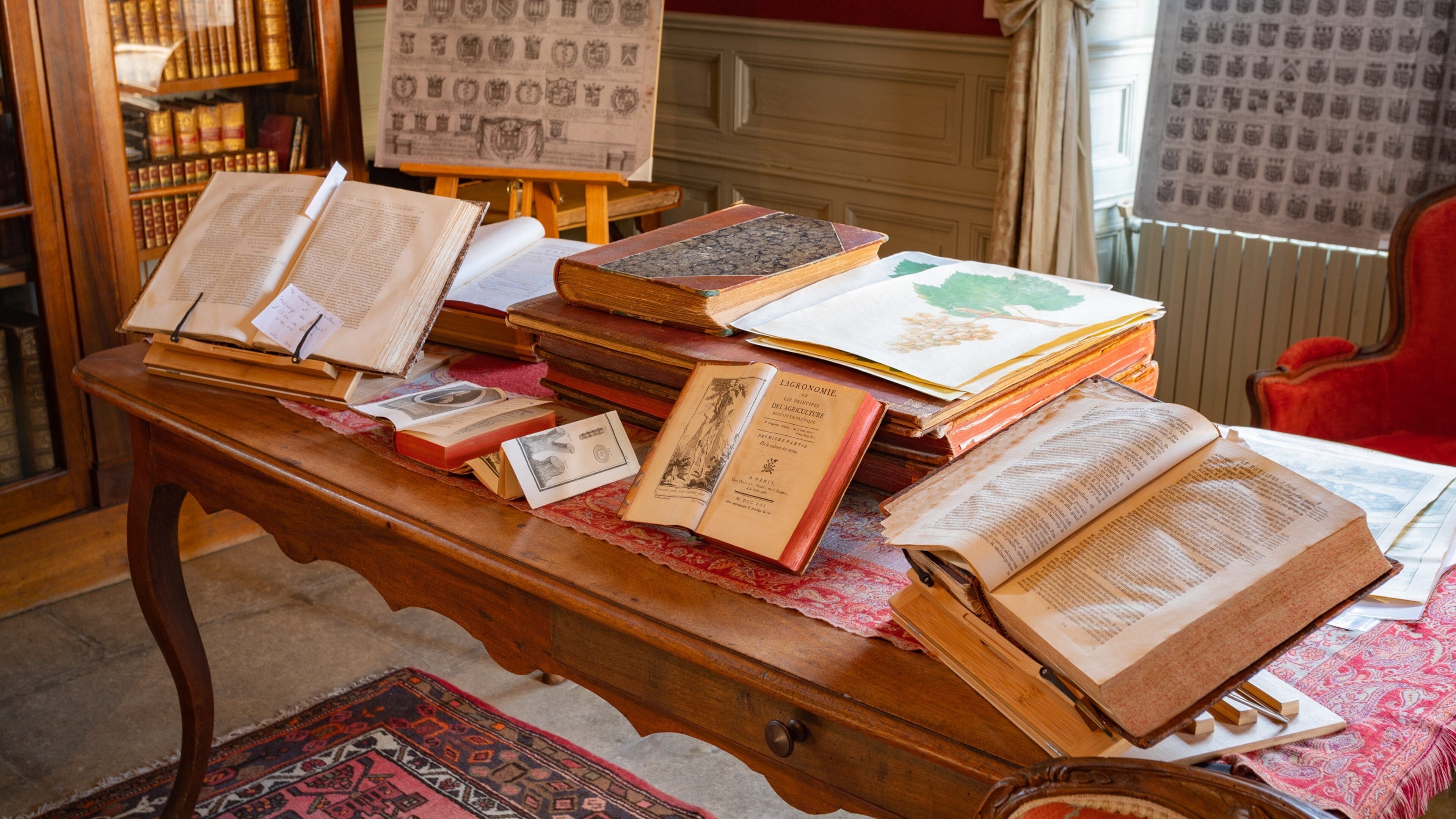 Chateau de Flaugergues