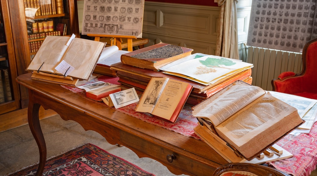 Chateau de Flaugergues