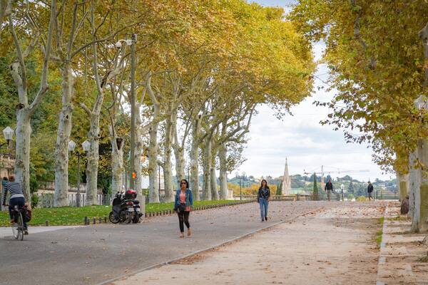 Champ de Mars Garden featuring a garden