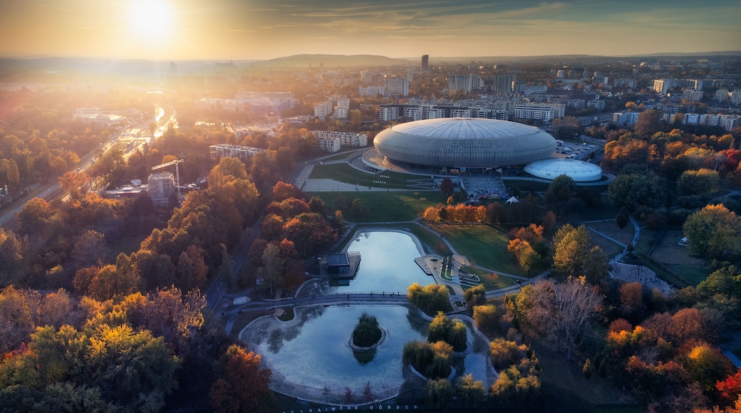 Estadio Tauron Arena Kraków