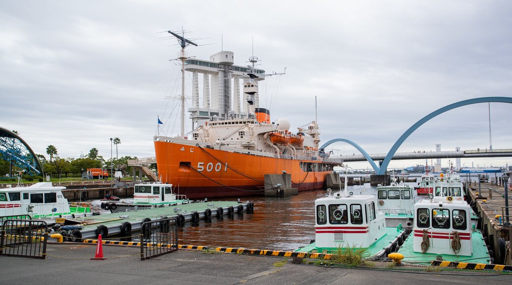 Fuji, the Floating Antarctic Museum showing a marina