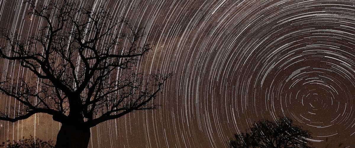 A star trail photograph with a prominent tree silhouette.