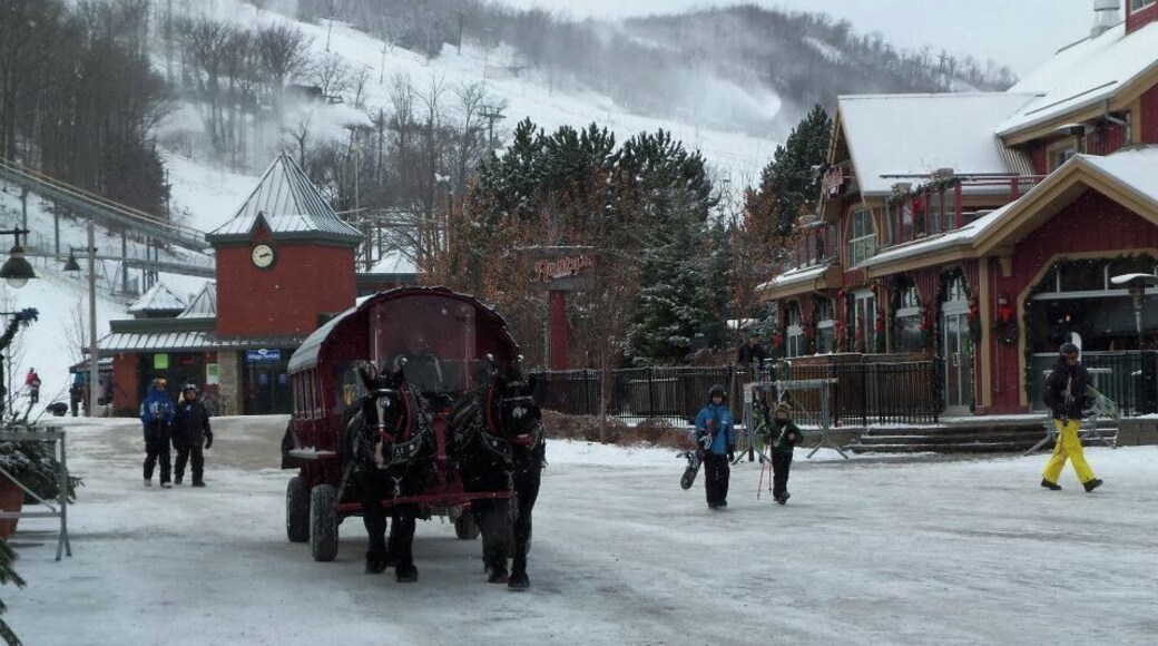 Blue Mountain, Ontario, Canada