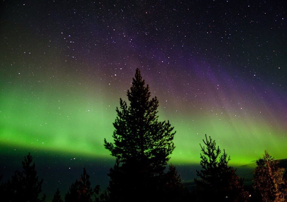 Most spectacular treat