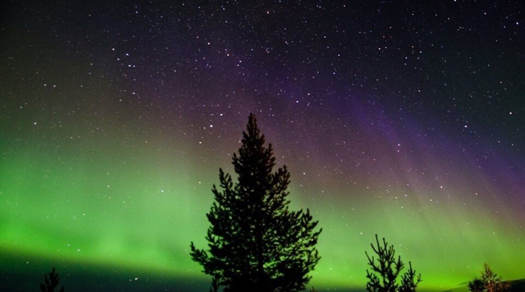 Most spectacular treat