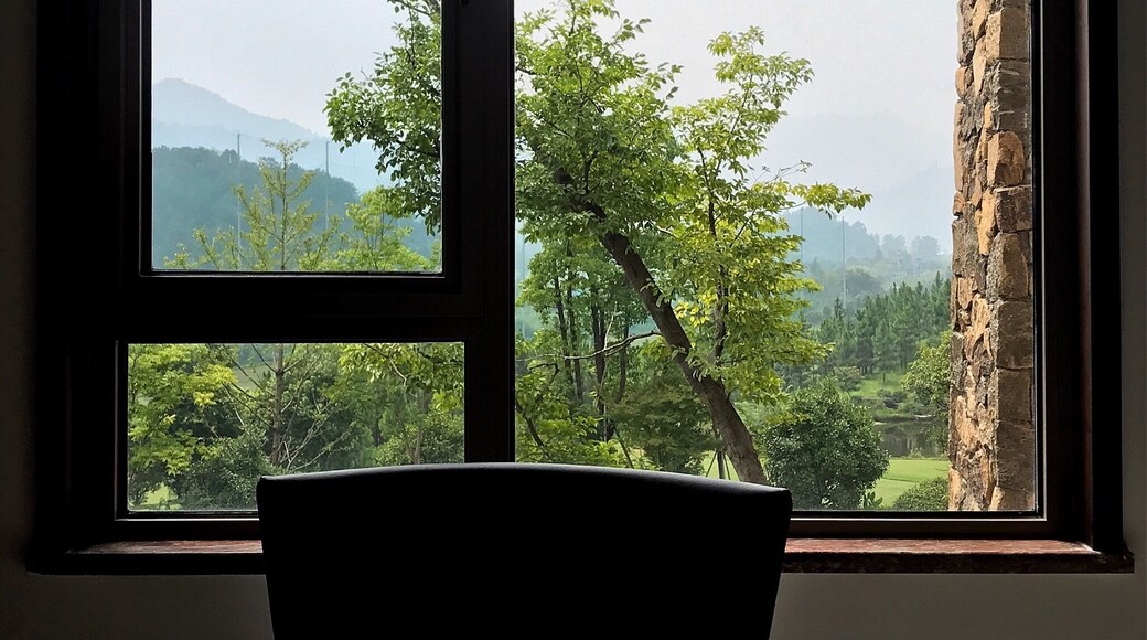 view from the window!