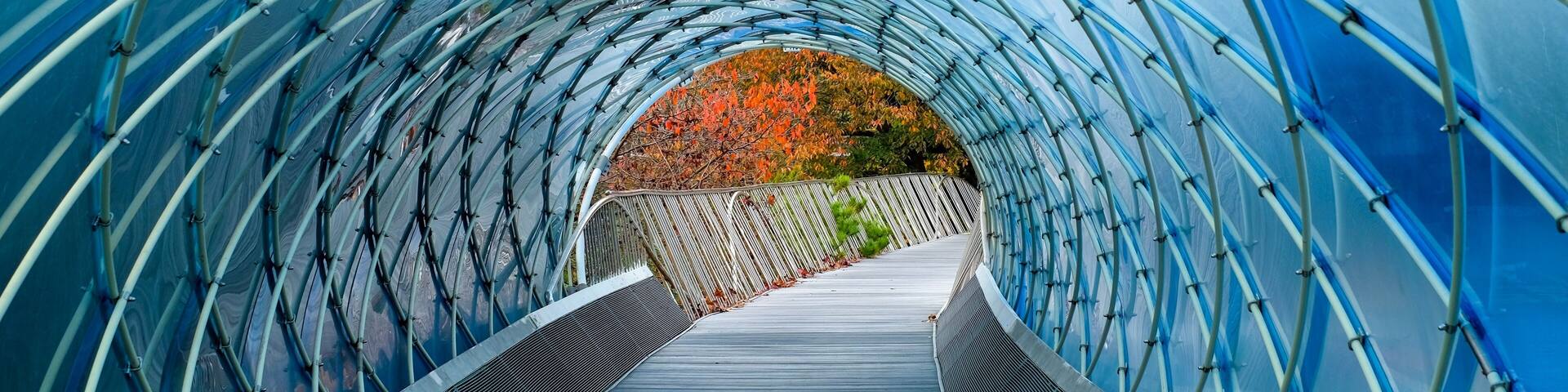 Structural glass facade curving roof and the wooden pathway inside. Abstract architecture fragment. Anyang art park in south korea
