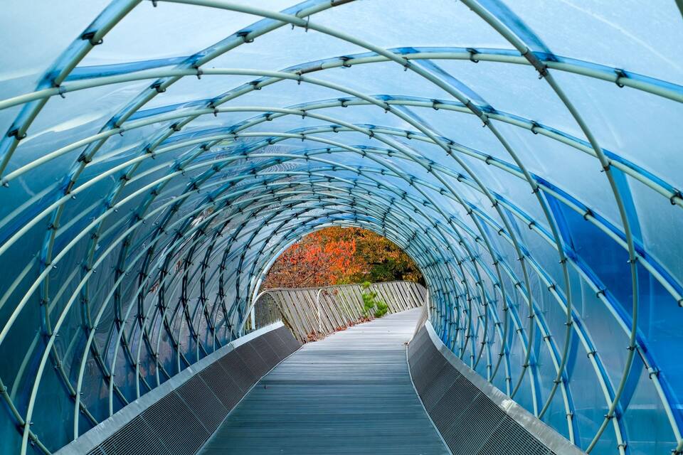 A tunnel with a transparent roof and blue structural supports.