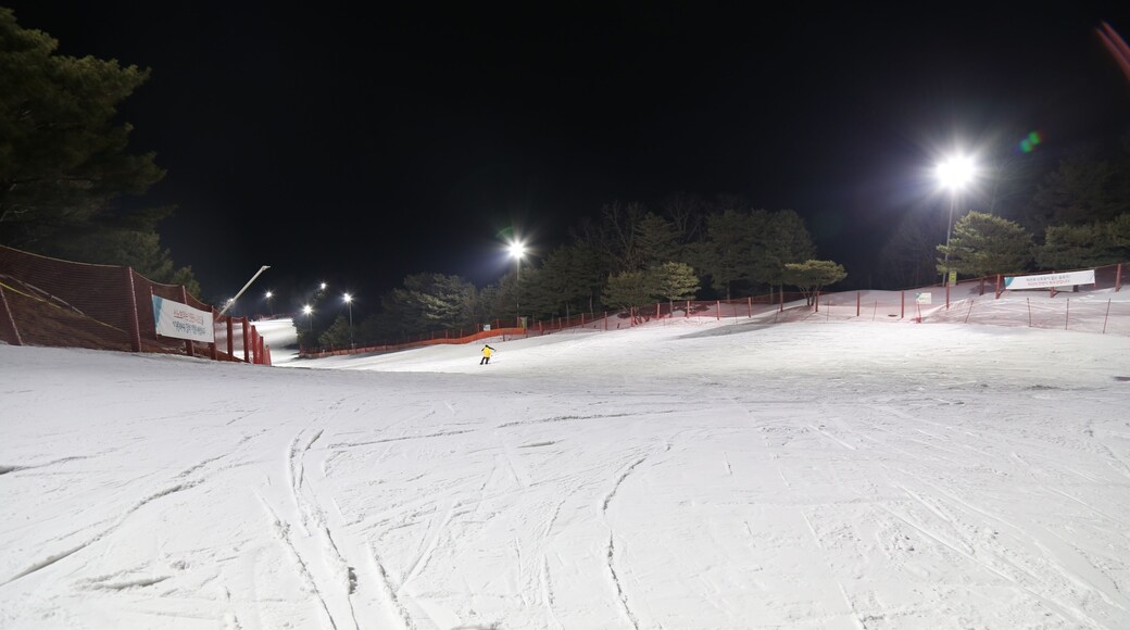 Daemyung Vivaldi Park -laskettelukeskus