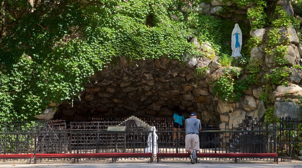 Grotto of Our Lady of Lourdes showing a park as well as an individual male