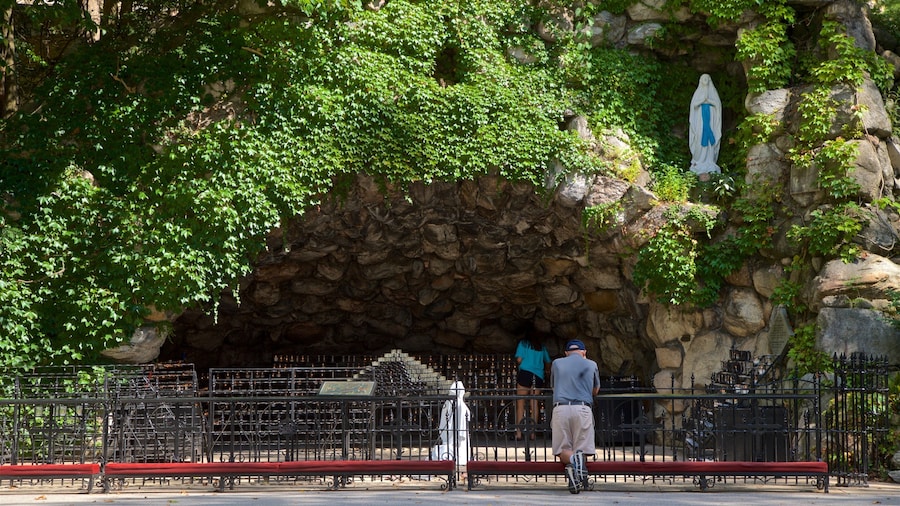 Grotto of Our Lady of Lourdes mostrando giardino cosi come ragazzo