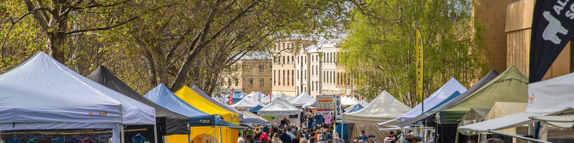 Salamanca Market showing street scenes and markets