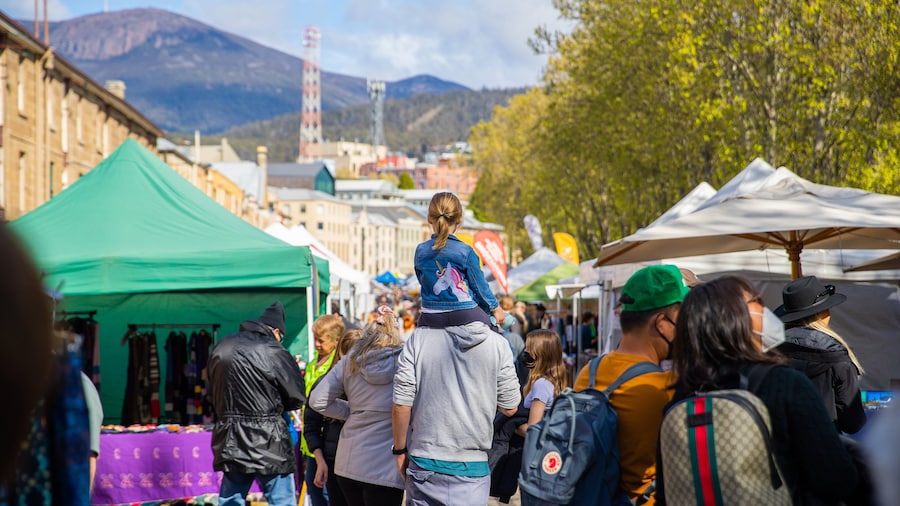 Salamanca Market showing street scenes and markets as well as a family
