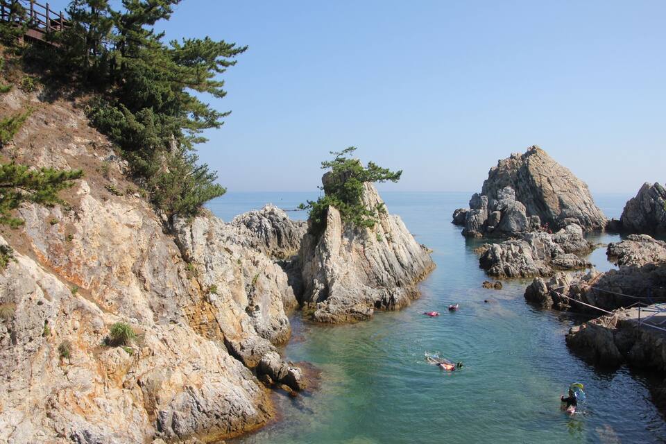 A rocky coastline with clear water, a pine tree on a rock, and people swimming.