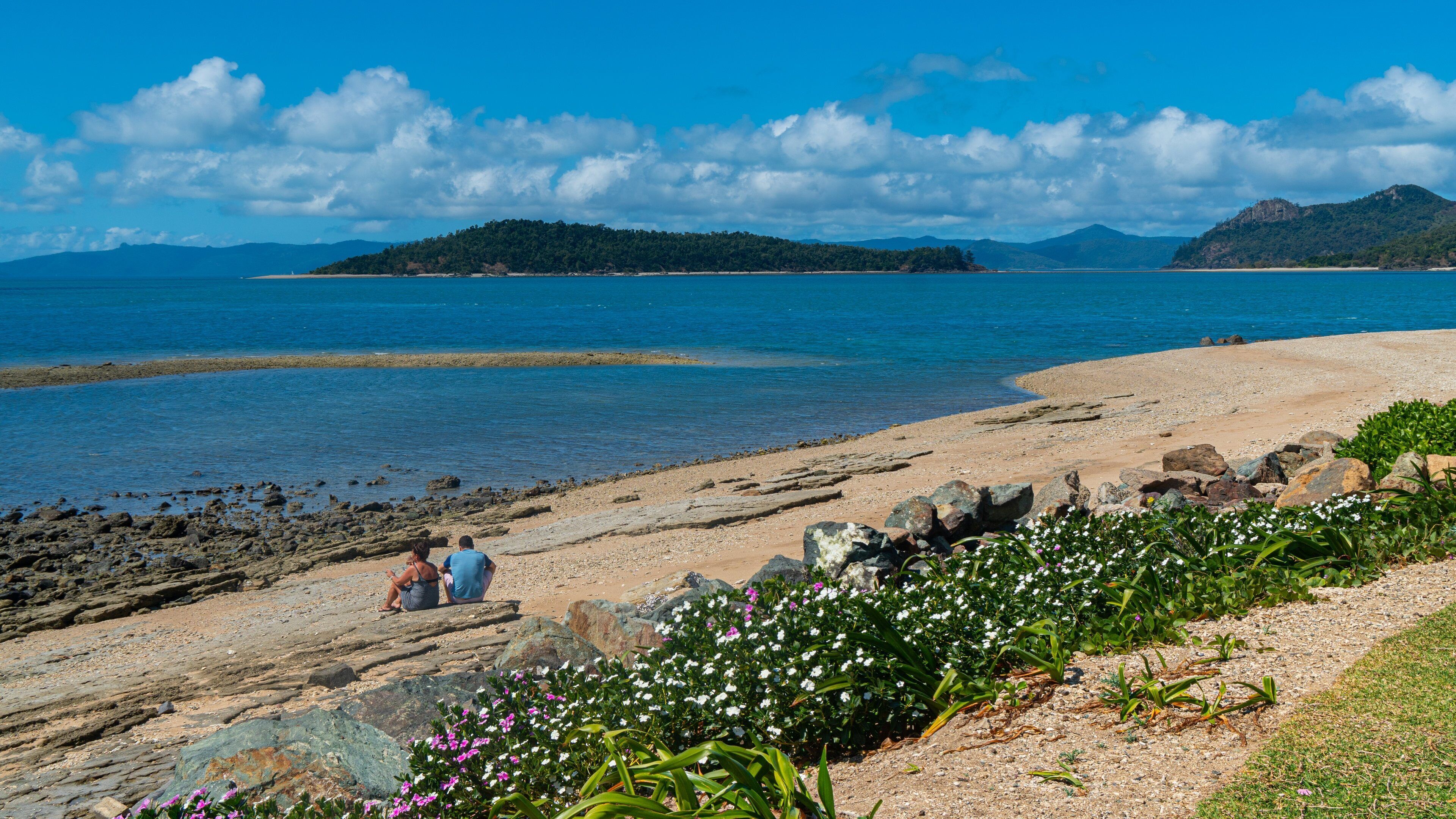 Daydream Beach which includes general coastal views as well as a couple