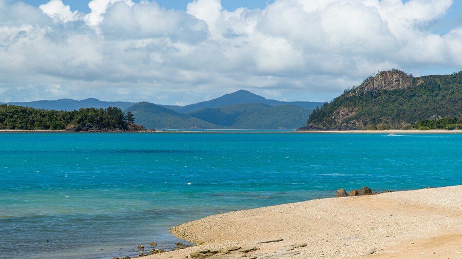Daydream Beach showing general coastal views and a beach