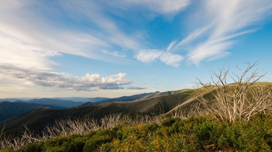 Australian Alps, from Hotham Heights