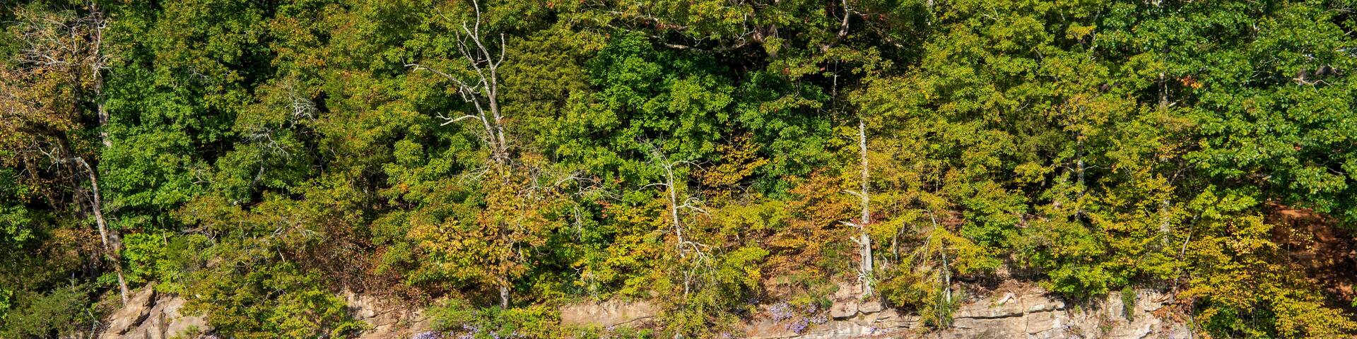 Tellico Dam in Lenoir City, Tennessee