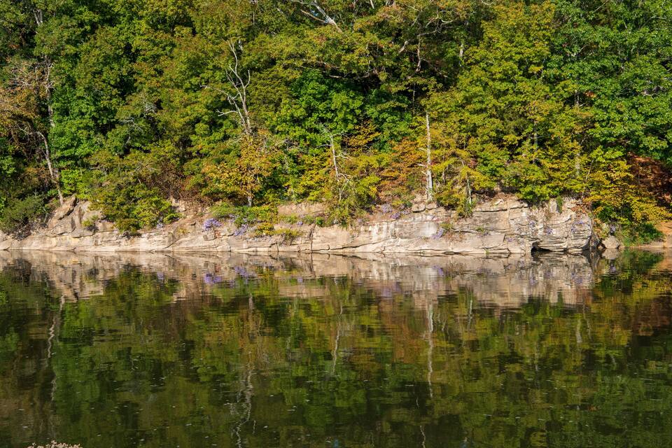 A calm lake surrounded by dense forest with rocky cliffs.