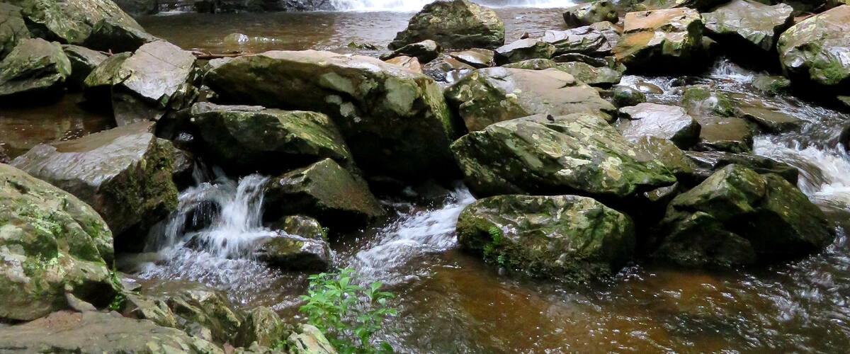 Short hike to see this beautiful 30ft waterfall
#nature