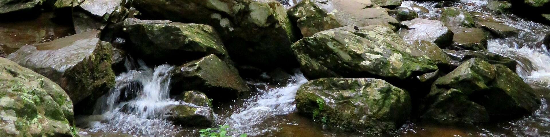Short hike to see this beautiful 30ft waterfall
#nature
