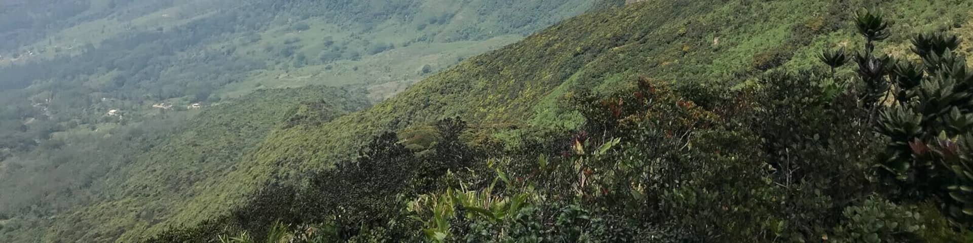 #LifeAtExpedia - green green green, beautiful nature in Sri Lanka!