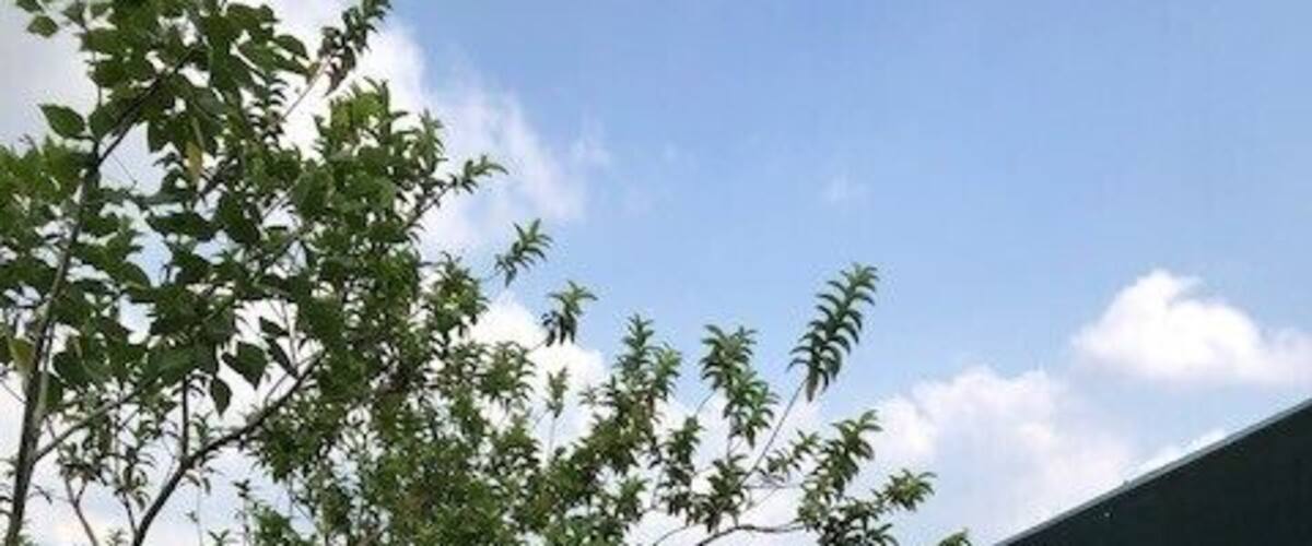 #LifeAtExpedia - sleeping in an eco lodge on a tea plantation, without wifi. Couldn't imagine a better stay! Waking up without an alarm but with the noise of nature!