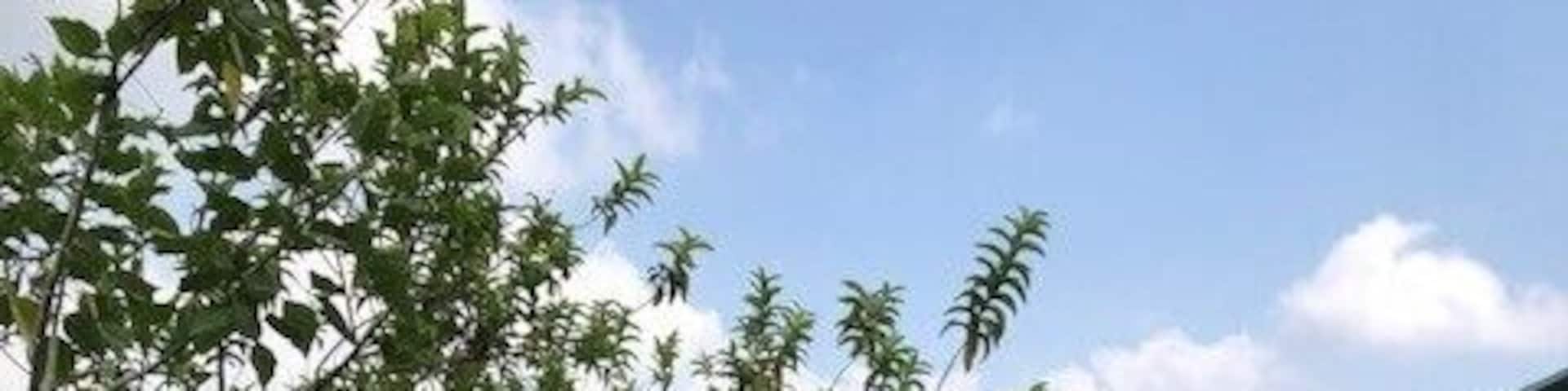 #LifeAtExpedia - sleeping in an eco lodge on a tea plantation, without wifi. Couldn't imagine a better stay! Waking up without an alarm but with the noise of nature!