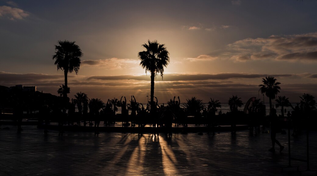 I just love the landscape on Fuortoventura and Playitas Resorts and the area around the resort offers so much interesting photography. Sunrises, sunsets, sea, mountains, abstract formations and flowers, etc etc.