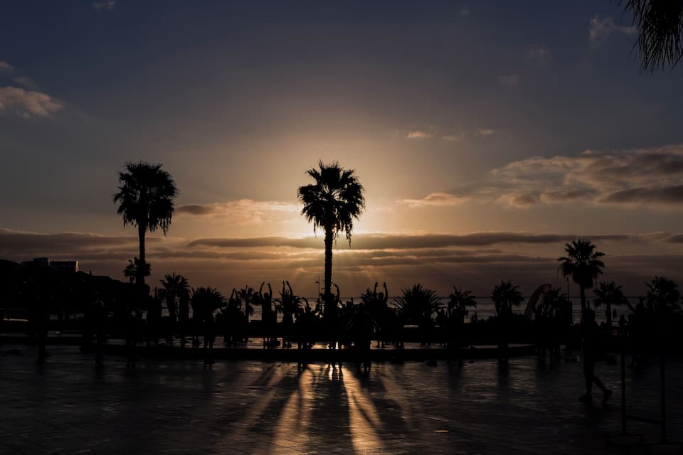 A sunset silhouette of palm trees and a crowd of people.