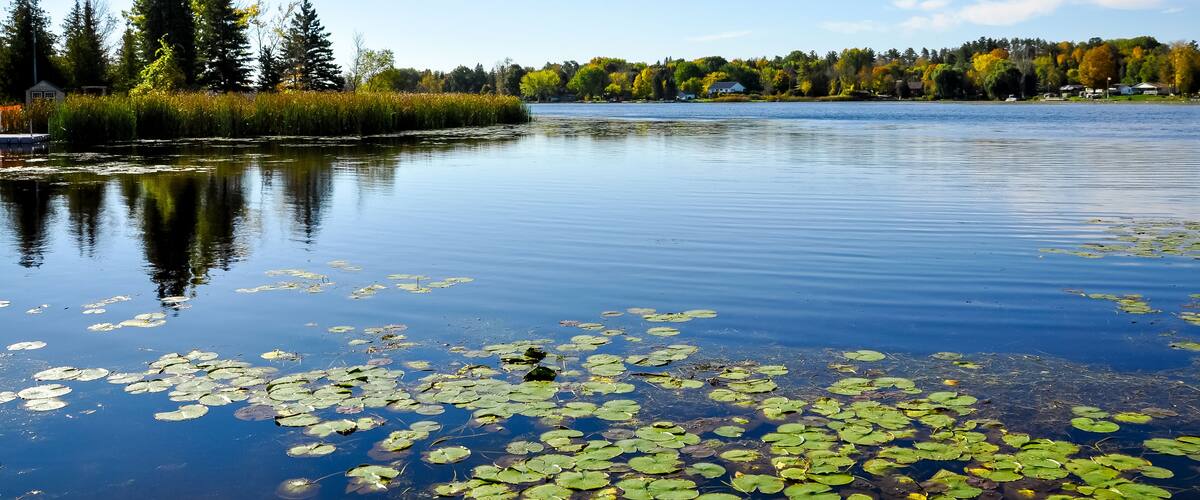 Autumn landscape with lake and trees