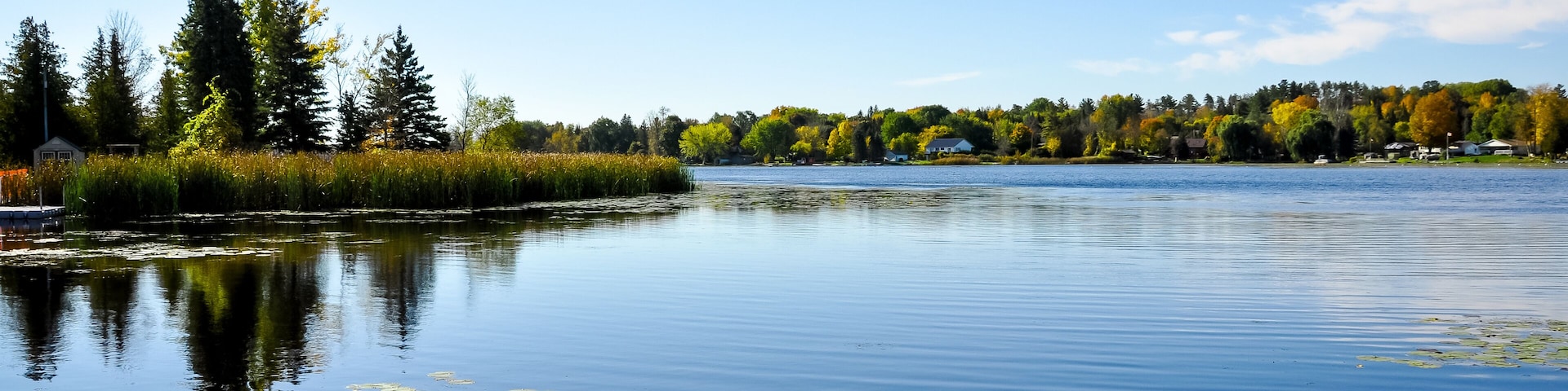 Autumn landscape with lake and trees