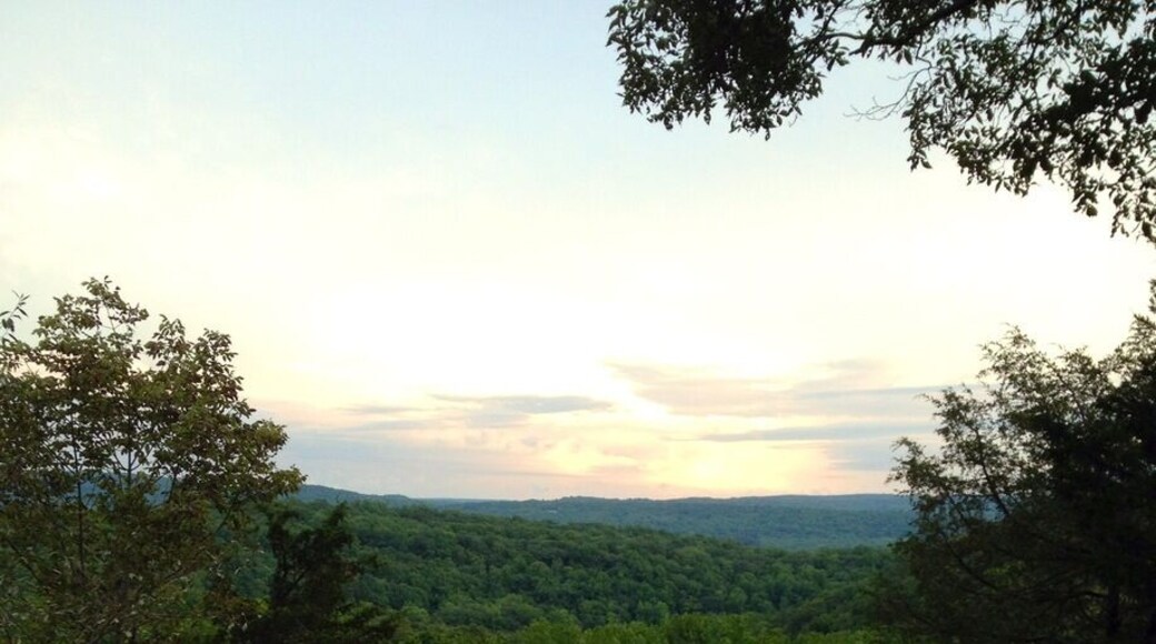 At the top of this haunted forest at #jennyjump #hiking #shadesofdeath
#haunted