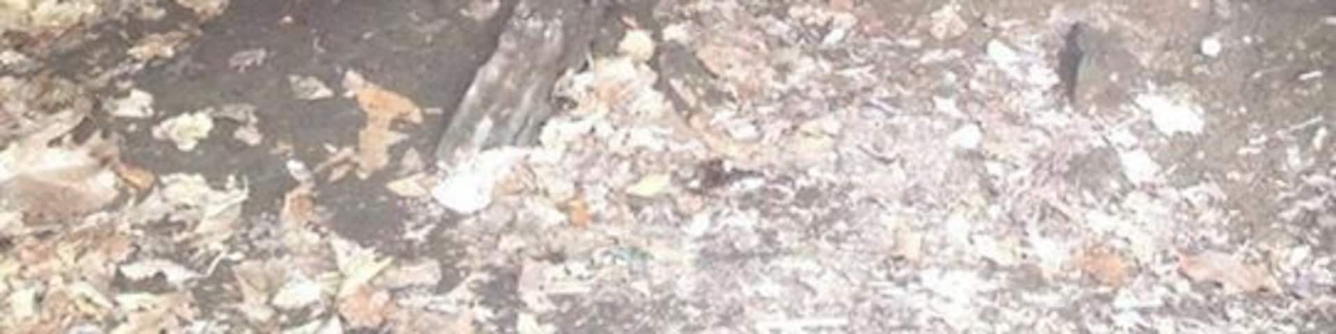 I can't remember exactly how to get there, but you do have to climb over trees, through brush, and non-paved paths to get to this cave for a short spelunking excursion near Jenny Jump State Forest.