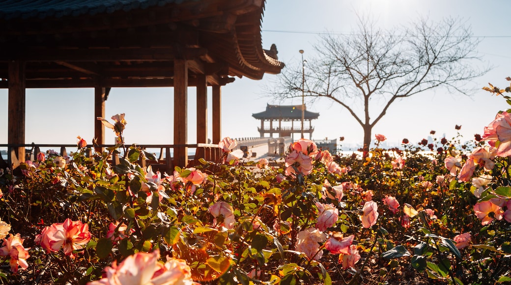 Yeongildae traditional pavilion and rose garden in Pohang, Korea