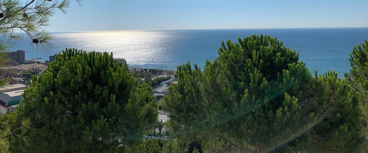 View from my room. Amazing